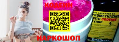 индика Анжеро-Судженск