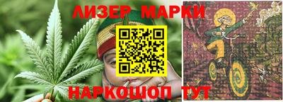 индика Анжеро-Судженск