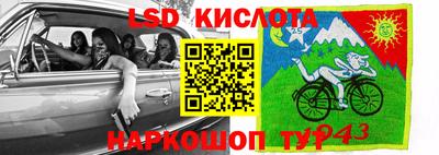 индика Анжеро-Судженск