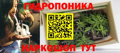 молекула духа Анапа