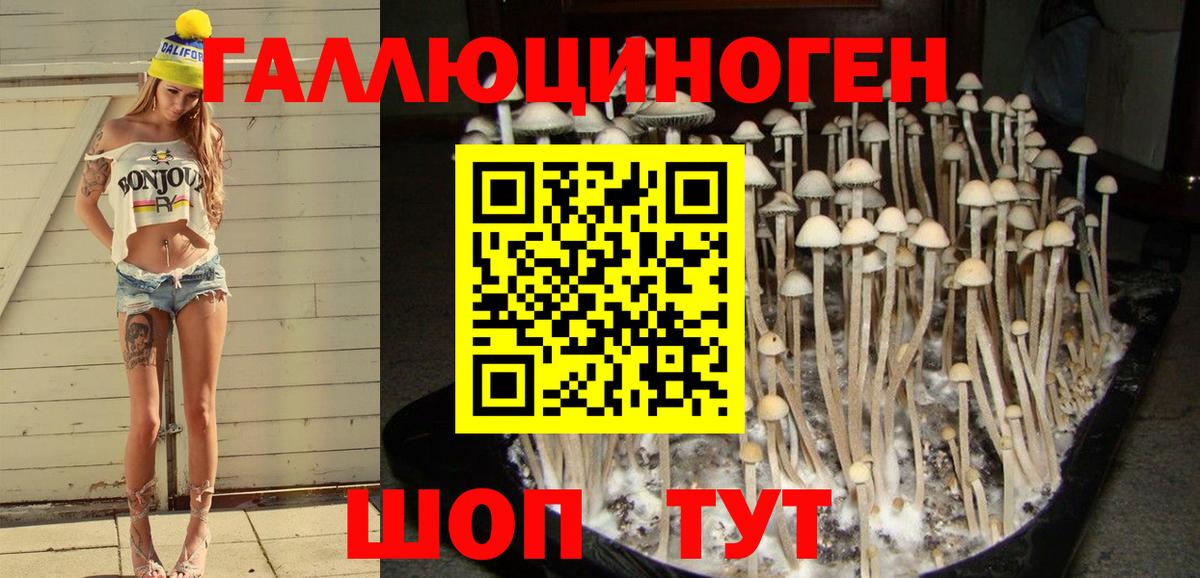 Галлюциногенные грибы MAGIC MUSHROOMS  Псилоцибиновые грибы Psilocybine cubensis  Вход с VPN  Рузаевка 